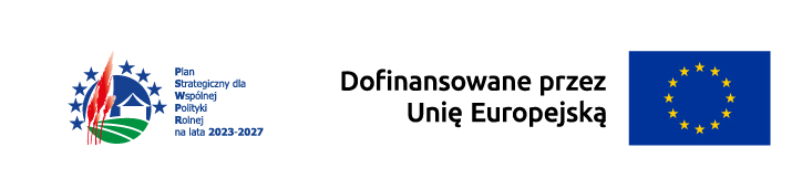 pasek 2 logo poziom wersja 2 bez logo LGD PM